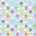 Hot Air Balloons